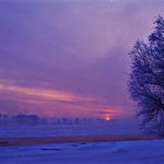 New Arrival–Childhood Toy House